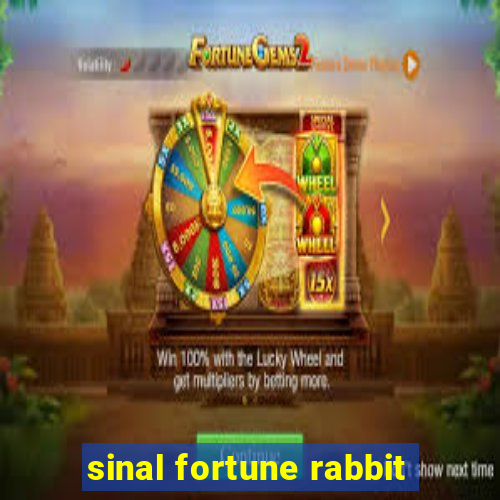 sinal fortune rabbit